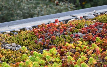 the cost of Buttonbridge green roof installation
