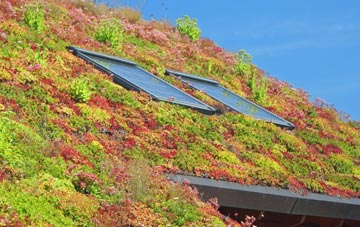Buttonbridge living roof systems