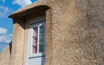 Buttonbridge thatch roof disadvantages
