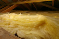 Buttonbridge pitch roof insulation