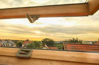 rated Buttonbridge roof window companies